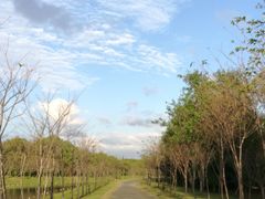 -上海海湾国家森林公园