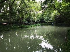 -青枫公园