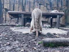 -上海野生动物园