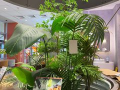 -必胜客(华都店)