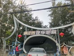 -枫花园汽车电影院(朝阳公园店)