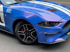 -靓车会汽车贴膜(双楠店)