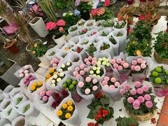 -三圣花乡旅游区