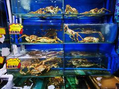 水产区-蚝专家(北滘店)