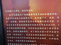 -大雁塔北广场音乐喷泉