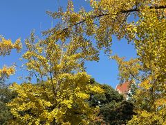 -地二手作鱼汤馄饨(上街里店)