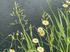 -喜洋洋蟹庄(阳澄湖店)