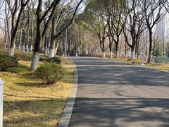 -白塘生态植物园