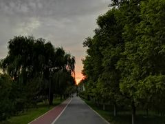 -马家湾湿地公园
