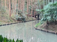 -同里国家湿地公园