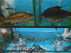 -老村长土菜馆(湖墅南路店)