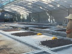 -Torch Coffee 炬点咖啡