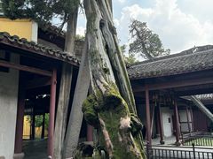 -太平天国侍王府