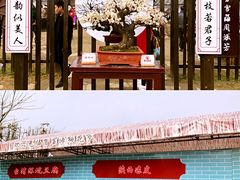 -香雪海