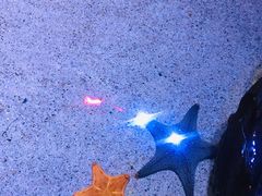 -暹罗海洋世界