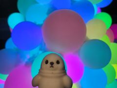 -秦皇岛乐岛海洋王国