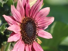 -玄武湖景区-情侣园游乐场