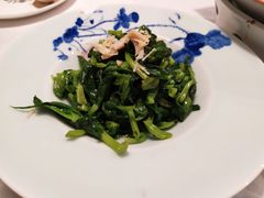 瑶柱豌豆尖-肆月河豚·新淮扬(金融街店)