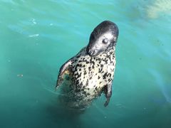 -北戴河圣蓝海洋公园