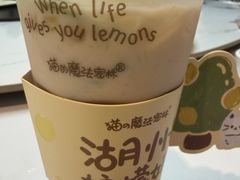 -猫的魔法密林(衣裳街店)