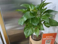 -龙脊堂龙氏推拿 整脊(陆家浜店)