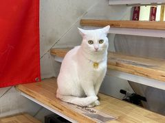 -南枝小馆(银鱼巷店)