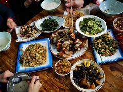-桐梓锅贴饺(桃源东路店)