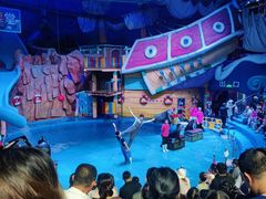 -烟台海昌鲸鲨海洋公园