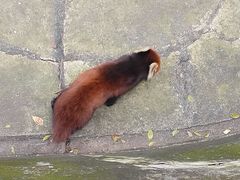 -昆明动物园