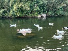 -新江湾城公园
