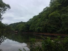 -青城山