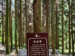 -娄山关景区