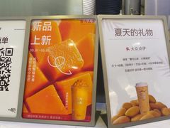 -雾与山茶(大禹城店)