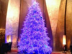 大堂-广州天河希尔顿酒店