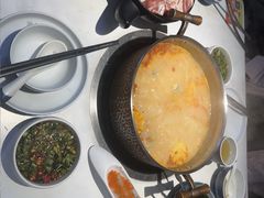 -濠七糟粕醋•海南酸汤火锅(中关村店)