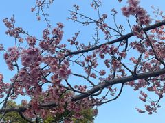 -苏州上方山国家森林公园