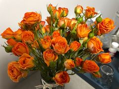 -循礼门鲜花花市(武汉循礼门店)