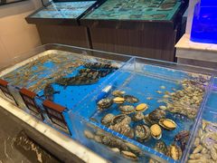 水产区-箸福·夜上海(雨花客厅店)
