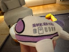 -深圳机场凯悦酒店