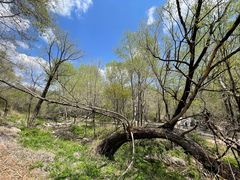 -玉渡山自然风景区