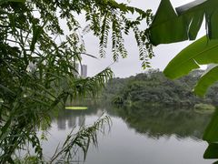 -重庆彩云湖湿地公园
