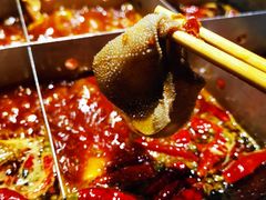 -宽板凳老灶火锅(南礼士路店)