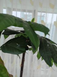 -HEYAN荷妍专业脱毛连锁机构