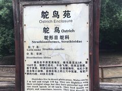 -南昌动物园