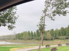 -渌洋湖湿地公园