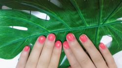 -J·C NAIL美甲美睫