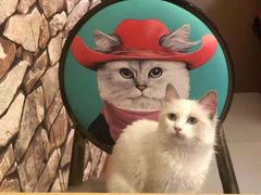 -猫咪咖啡店(新城大街店)