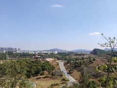 -东莞植物园