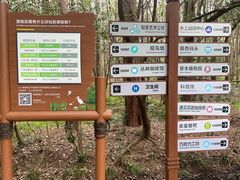 -同里国家湿地公园