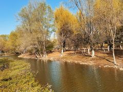 -长白岛森林公园